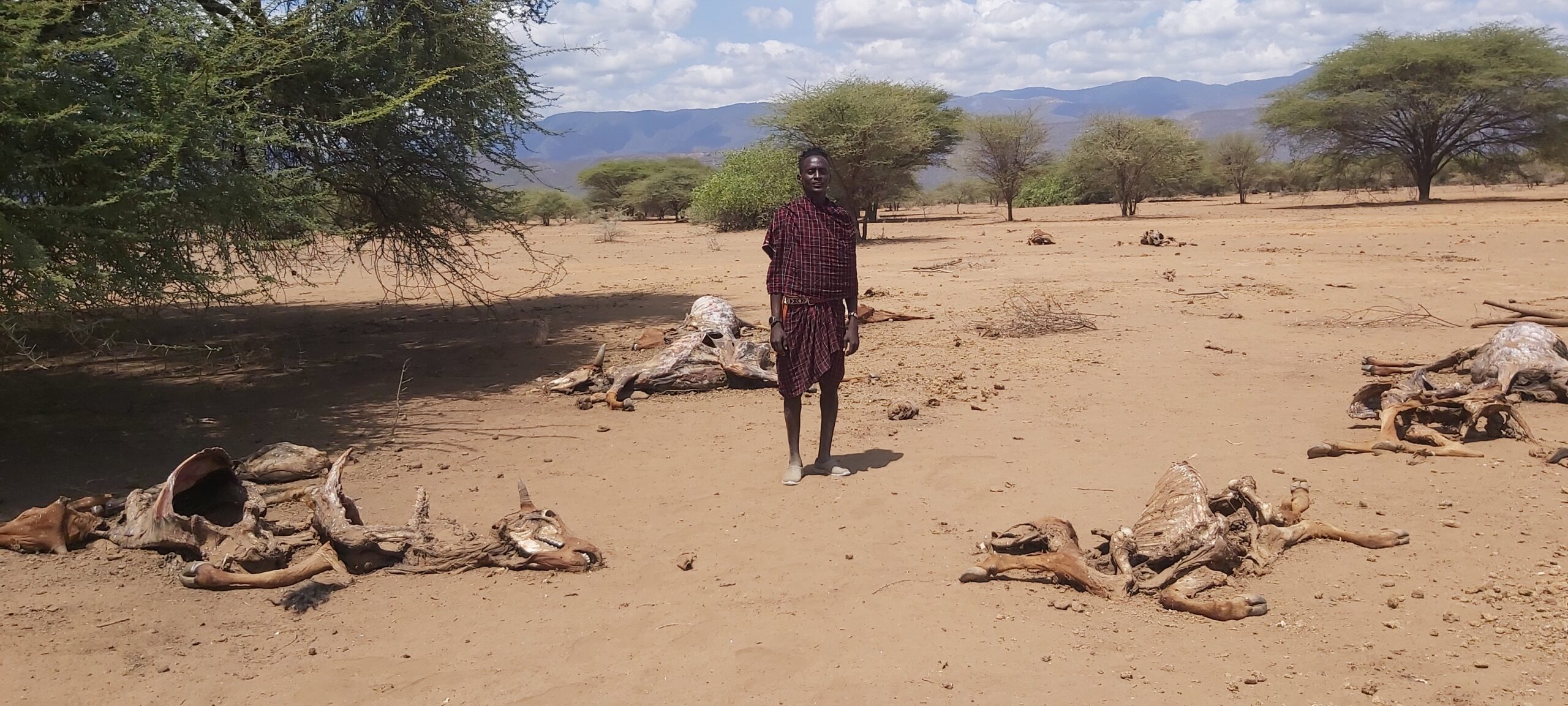 Living in ASALs